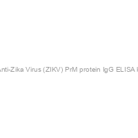 Recombivirus? Human Anti-Zika Virus (ZIKV) PrM protein IgG ELISA kit, 96 tests, Quantitative
